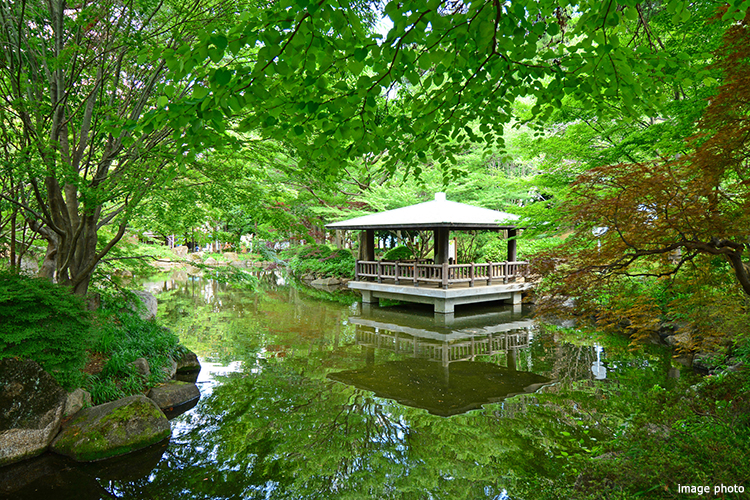 井草森公園｜ザ・パークハウス杉並上井草