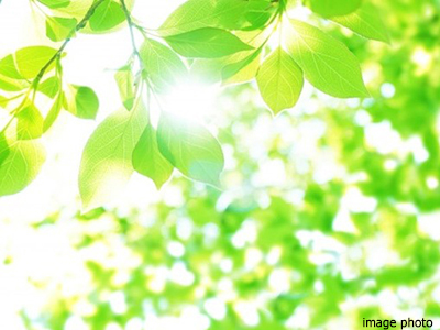 天然のエアコンイメージ｜ザ・パークハウス杉並上井草